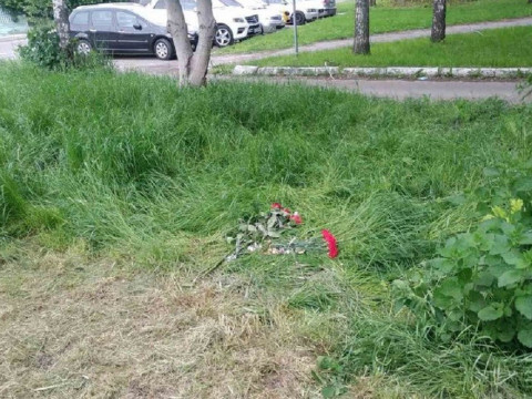 У Борисполі робітника смертельно вдарило струмом під час косіння трави