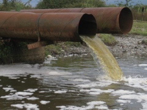 Молочні ріки "бабла": хто робить мільйони на отруєнні жителів Яготина