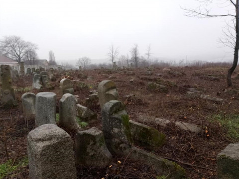 У Богуславі розчистили найстаріше кладовище в області  (ФОТО)