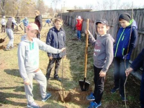 У Переяслав-Хмельницькому районі діти та вчителі долучилися до акції "Посади своє дерево"