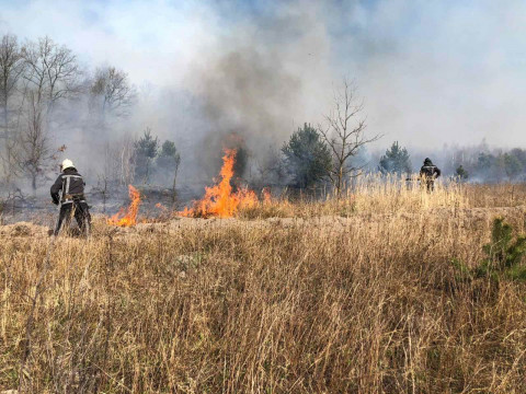 На Бородянщині рятувальники під час гасіння пожежі спіймали палія 