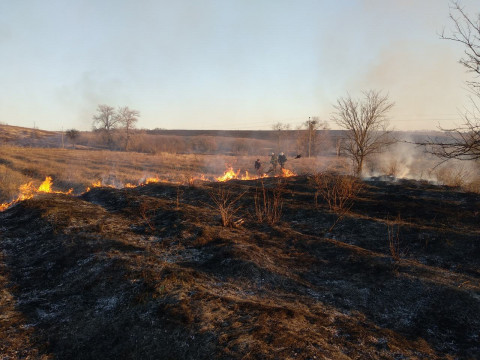 ДСНС у Київській області закликає громадян не палити суху рослинність та сміття (ФОТО)