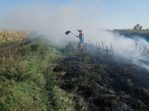 У Броварському та Білоцерківському районах дві людини загинули через загоряння сухої трави