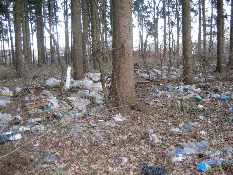 У Згурівці всіх охочих закликають прибрати ліс від сміття   