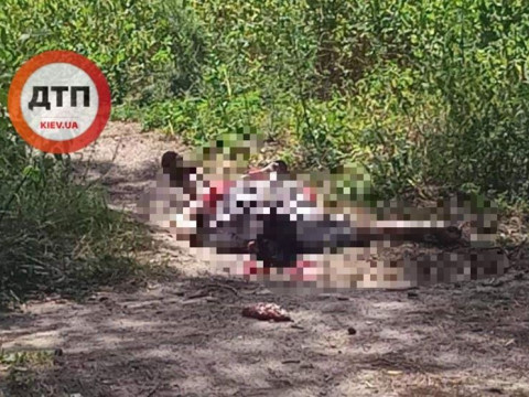 Вибух у Коцюбинському: чоловікові розірвало голову та відірвало руку 