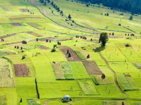 В Обухівському районі незаконно передали земельні ділянки для будівництва 