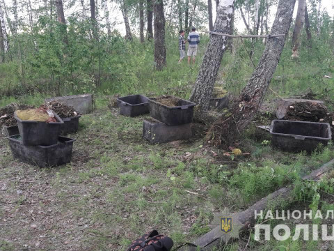 Операція "Нерест": у Київському водосховищі виявили 32 сітки для вилову риби (ФОТО)