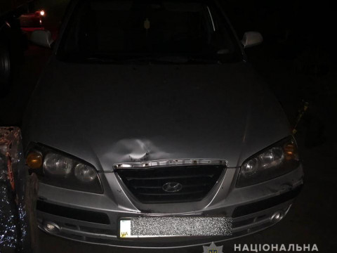 Поліцейські спіймали зловмисників, які обікрали автомобіль неподалік від селища Козин 