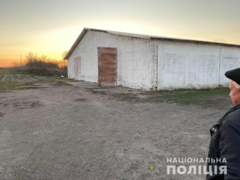 На Тетіївщині невідомі вкрали 510 кг насіння соняшника  (ФОТО)