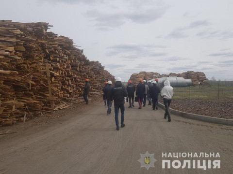 На Іванківщині товариство купувало небезпечну деревину з Чорнобильської зони