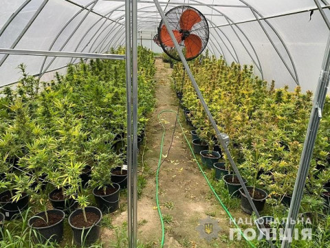 На Київщині затримали чоловіка, який вирощував наркотичні рослини (ФОТО)