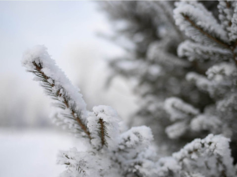 Прогноз погоди для жителів Київщини на 8-ме грудня