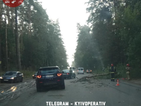 У Києво-Святошинському районі дерево впало одразу на дві автівки: є постраждалі (ФОТО)