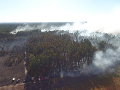 На Переяславщині 50 вогнеборців майже добу гасили ліс (ФОТО, ВІДЕО)