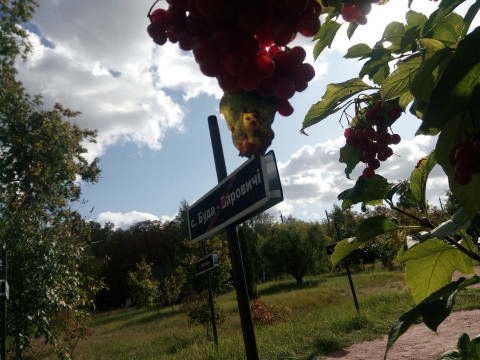 У зоні ЧАЕС відкрили ще два маршрути