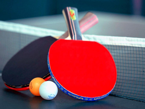 На Васильківщині відбулися зональні змагання з настільного тенісу
