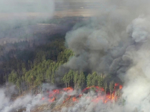 Збитки від пожеж в зоні відчуження за рік перевищили 8 млрд грн