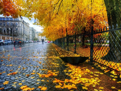 Прогноз погоди для жителів Київщини на 7-ме жовтня