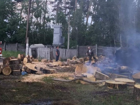 У Фастівському районі сталася пожежа в лісгоспі