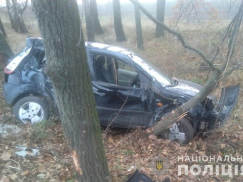 На Обухівщині  внаслідок зіткнення з деревом загинув водій