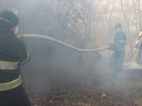 У зоні ЧАЕС рятувальники припинили гасити пожежі