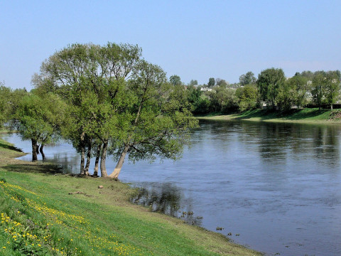 У річці під Києвом виявили червонокнижного хижака (ФОТО)
