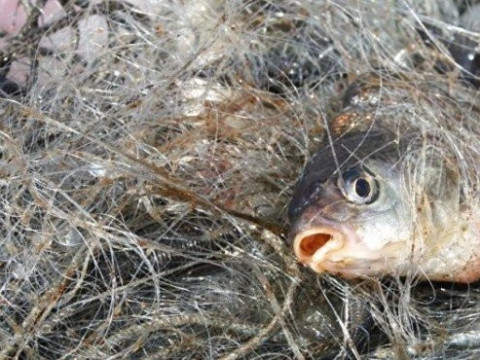 На Обухівщині затримали рибного браконьєра (ФОТО)