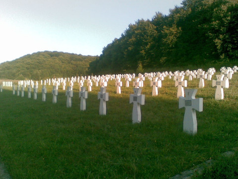 На Київщині створять меморіальне кладовище для військових