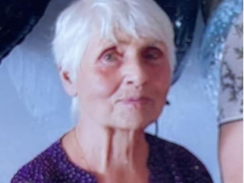 Зниклу бабусю в селищі Пісківка шукають вже десять днів