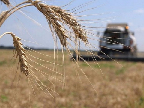 Скандал на Київщині: аграрії скаржаться на незаконне скасування прокуратурою договорів оренди землі