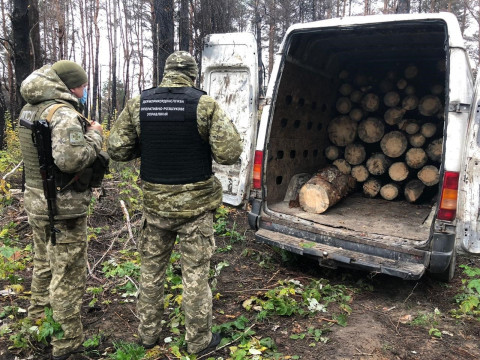 Прикордонники затримали громадянина Росії, який незаконно вирубав ліс на Київщині (ФОТО)
