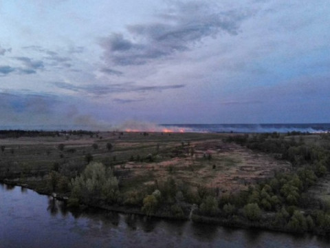 На Київщині спалахнув унікальний річковий острів