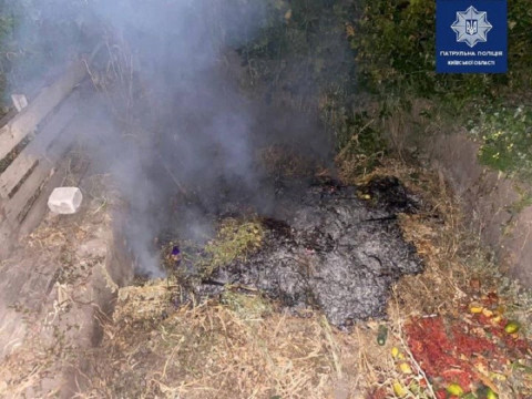 Бориспільчанин сплатить штраф за паління сміття