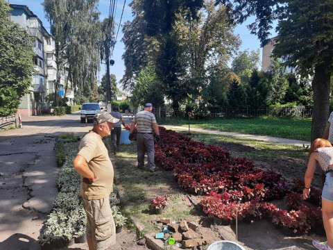 У міському парку Фастова з’явилися нові клумби з багаторічних рослин