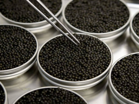 На Київщині компанія з виробництва чорної ікри постачає свою продукцію до США 