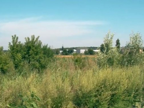 У Бучі закордонним інвесторам продадуть ділянки за 3,5 млн доларів (ВІДЕО)