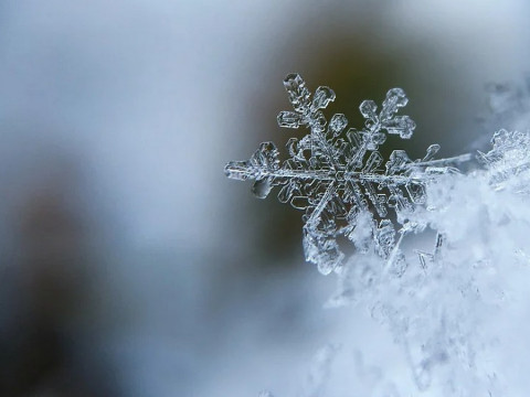 Прогноз погоди для жителів Київщини на 23-тє січня