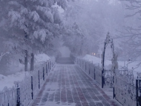 Прогноз погоди для жителів Київщини на 19-те січня