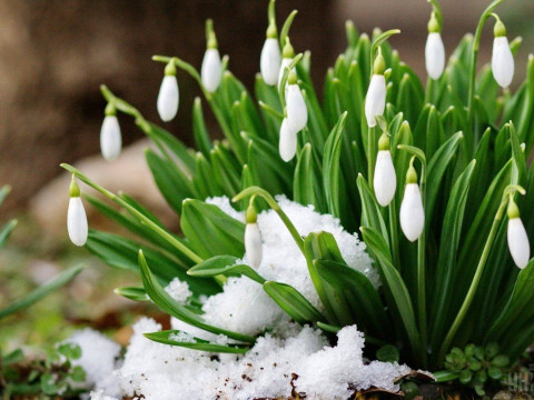 Прогноз погоди для жителів Київщини на 3-тє березня