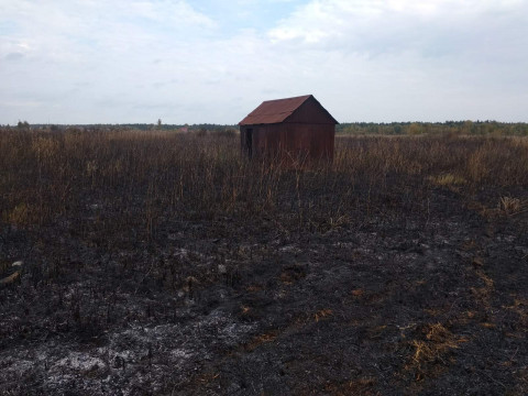 В Обухівському районі знов горів сухостій та залежні торфу