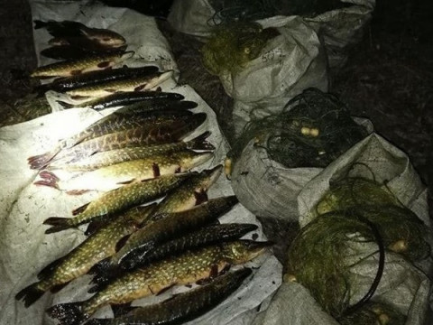 На Вишгородщині браконьєри наловили 27 кг риби