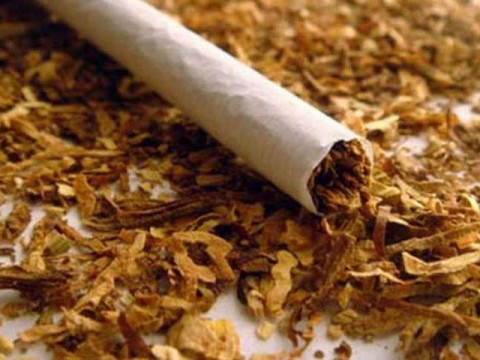 На Київщині знайшли контрафактного тютюну на 10 млн грн