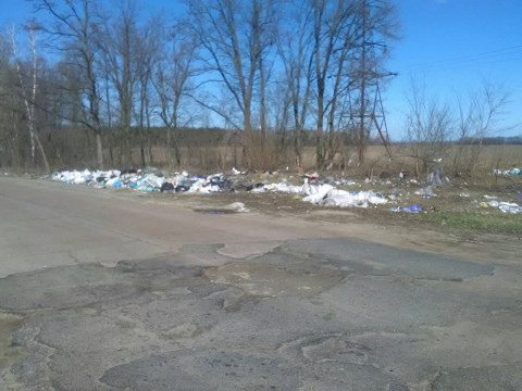 Фото дня : у Бориспільському районі доріг немає, а сміття є