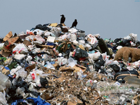 У Макарівському районі назріває сміттєва катастрофа