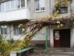 У Білій Церкві неповнолітній уночі вчинив грабіж