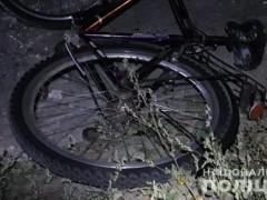 У Вишгородському районі в ДТП потрапив велосипедист