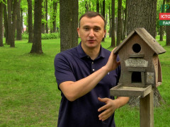 Карплюк розказав, як його команда повертала ірпінській громаді територію парку "Дубки"
