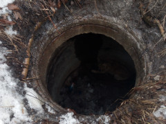 На Київщині пожежники знову рятують тварин 