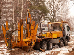Під час будівництва ЖК "Квартал Алей" збережуть максимальну кількість дорослих дерев: сучасні технології дозволяють вдало їх пересаджувати