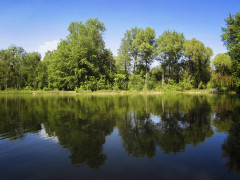 У Ворзелі заборонено купання